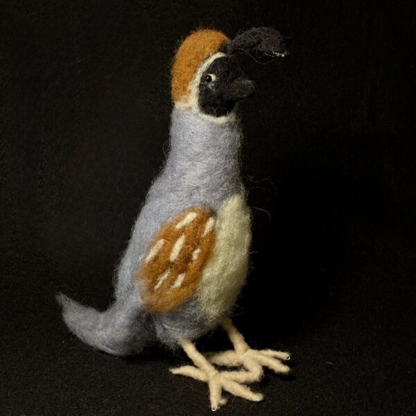 Quail by Laurie Cameron