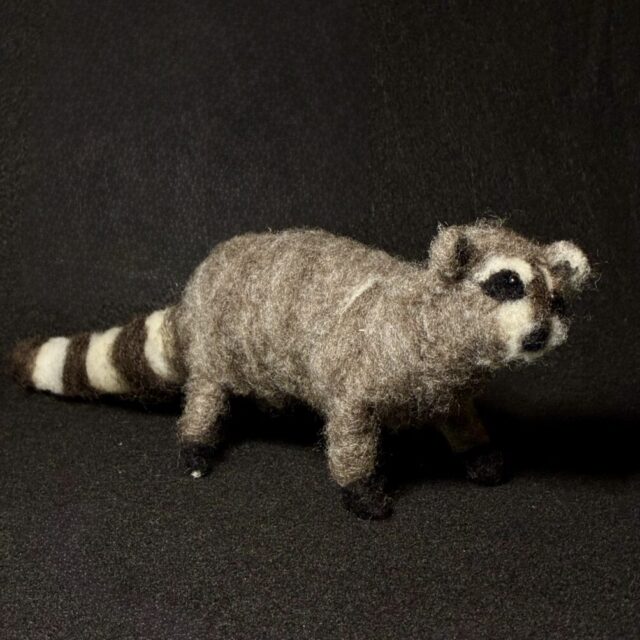 Raccoon by Laurie Cameron