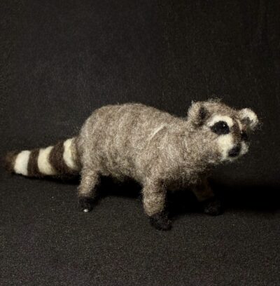 Raccoon by Laurie Cameron