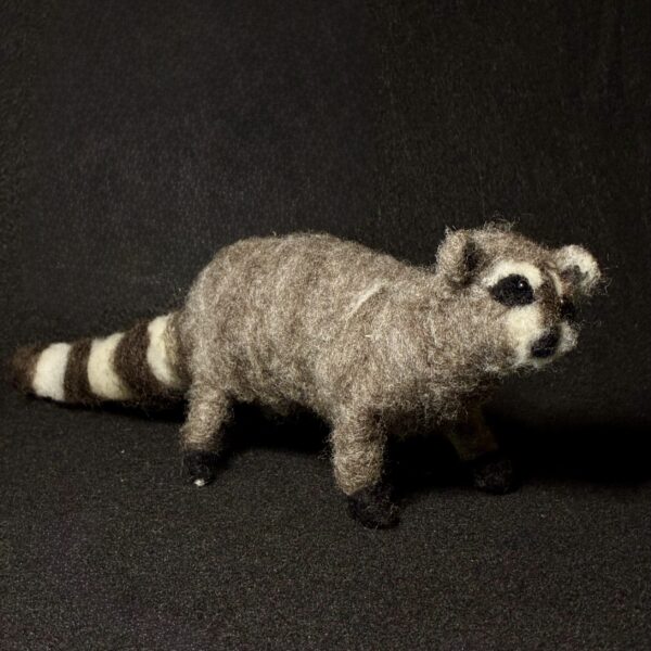 Raccoon by Laurie Cameron