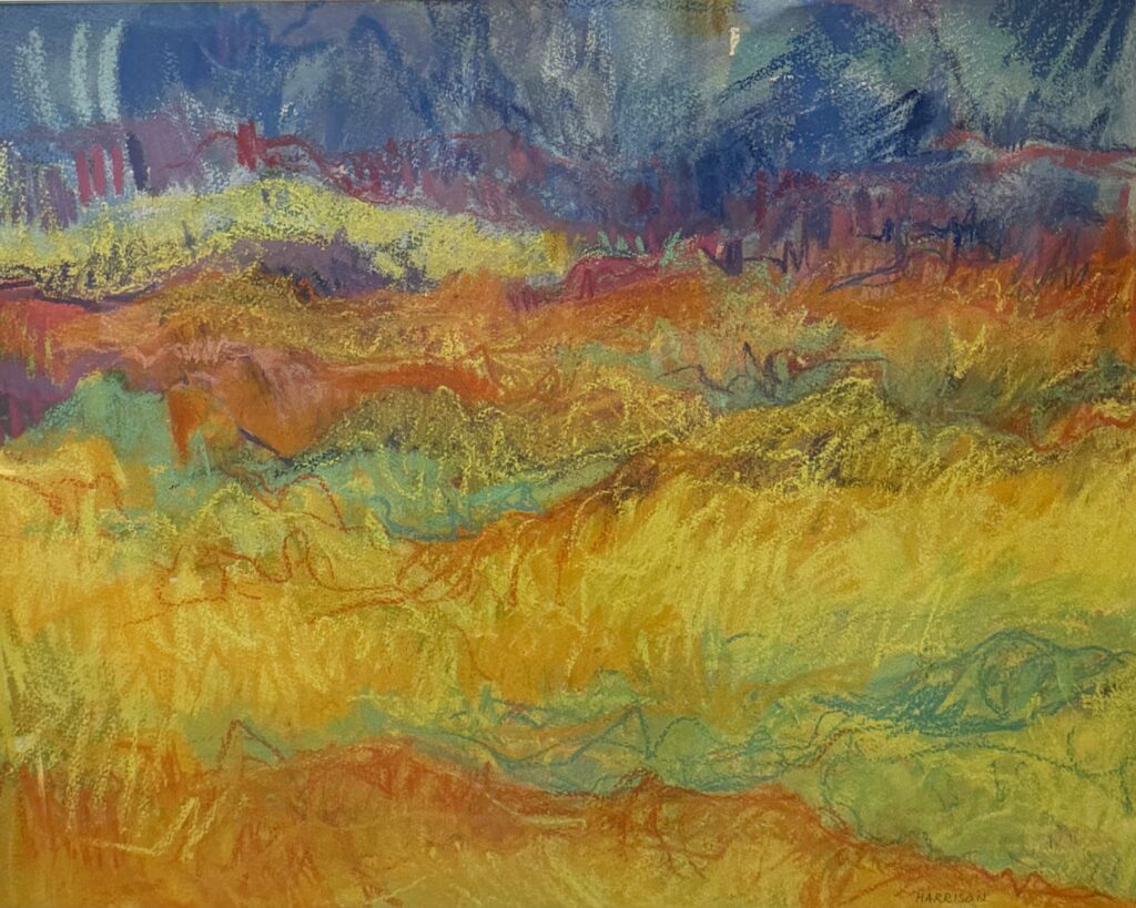 Sonoran Desert Summer #1 by Myrna Harrison