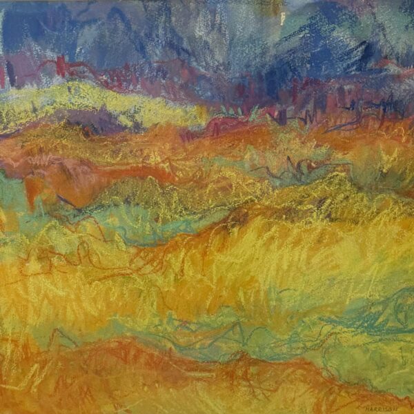 Sonoran Desert Summer #1 by Myrna Harrison
