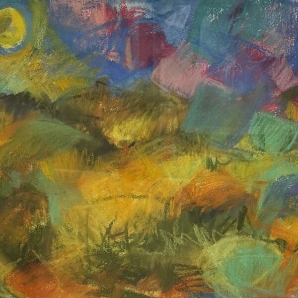 Sonoran Desert Summer by Myrna Harrison