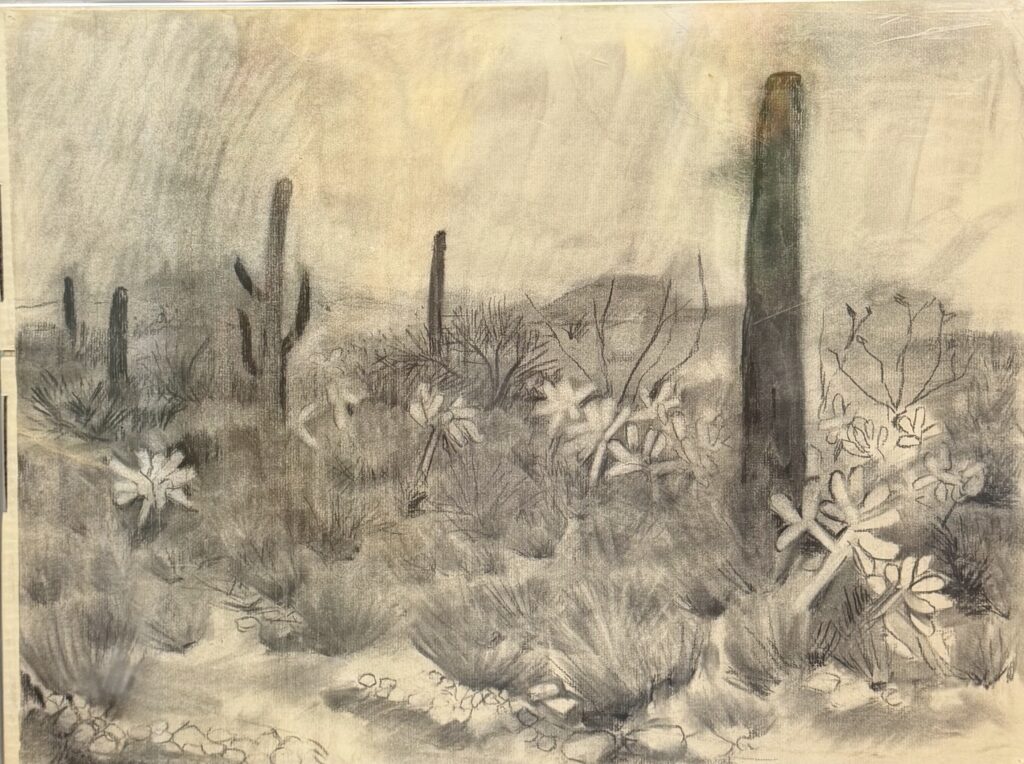 South Vulture Peak Road by Myrna Harrison