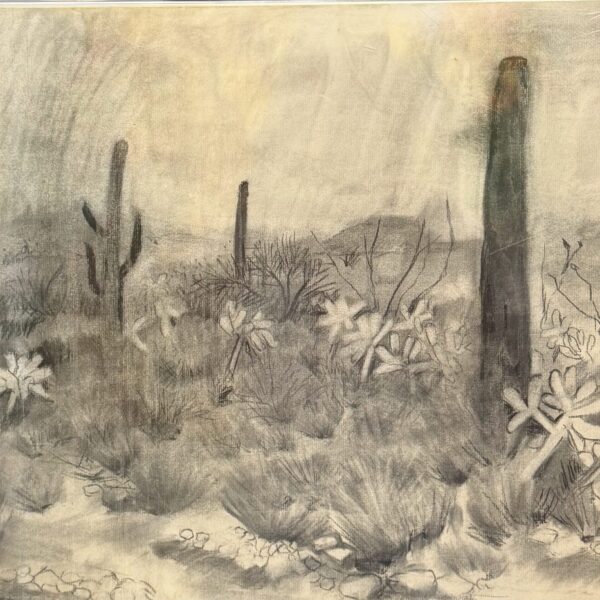 South Vulture Peak Road by Myrna Harrison