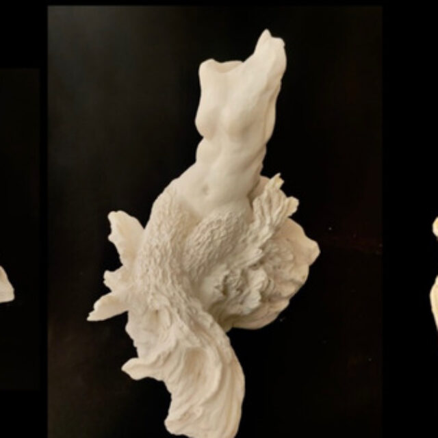 Transformation by Deborah Splain BGAS26