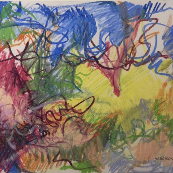 Arizona Summer (1989) by Myrna Harrison