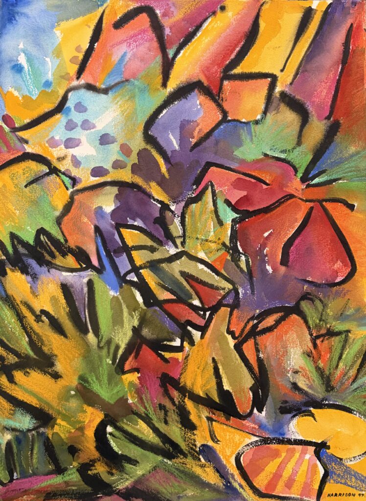 Buckhorn Creek Cliffs #8 by Myrna Harrison