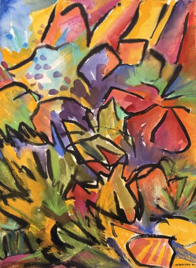 Buckhorn Creek Cliffs #8 by Myrna Harrison