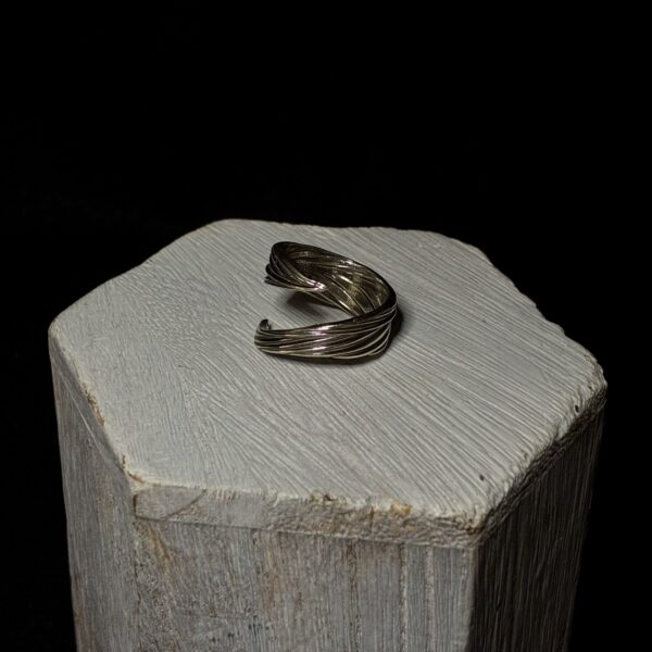 Feather to Flight, Sterling Silver Ring by Kim Fox