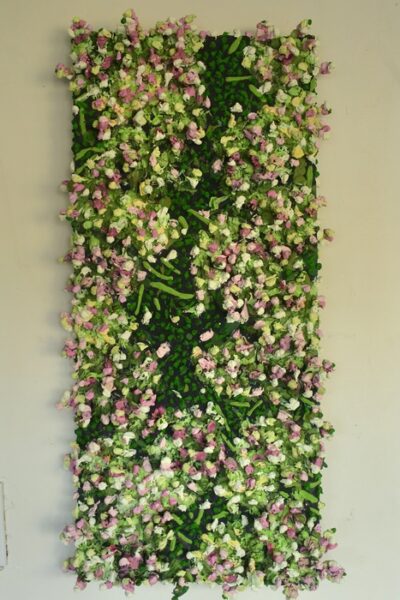 Champagne Hydrangeas By Andrea Espinoza BTF26