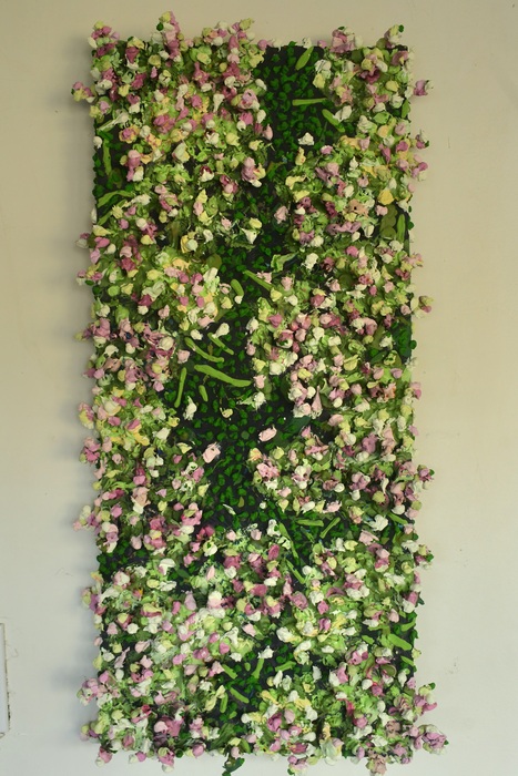 Champagne Hydrangeas By Andrea Espinoza BTF26