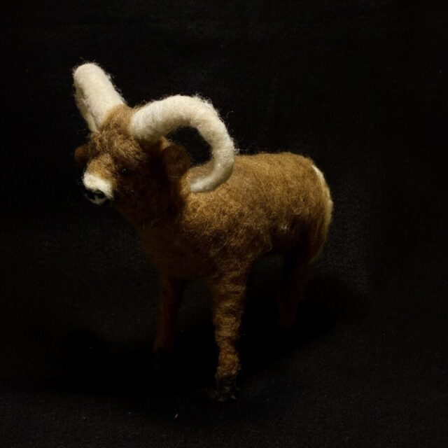 Bighorn Sheep by Laurie Cameron