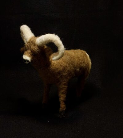 Bighorn Sheep by Laurie Cameron