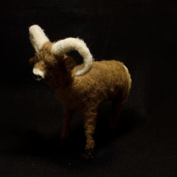 Bighorn Sheep by Laurie Cameron