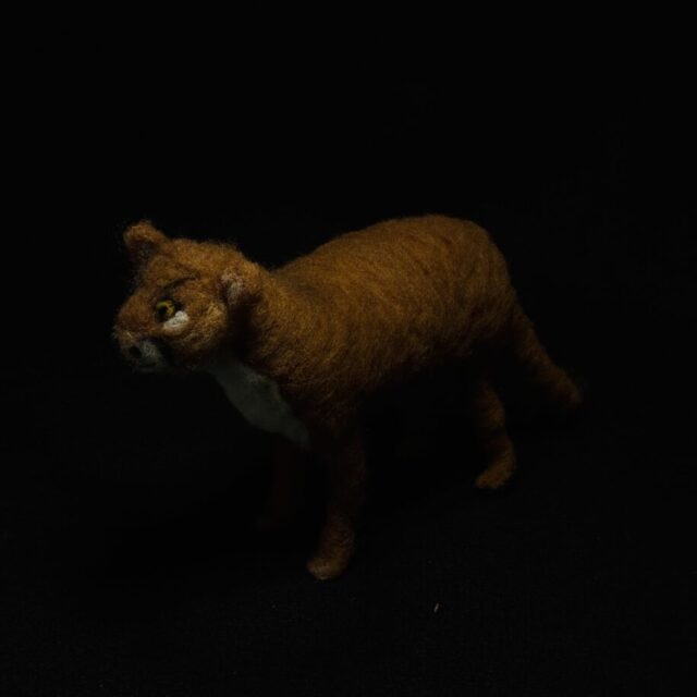 Mountain Lion by Laurie Cameron
