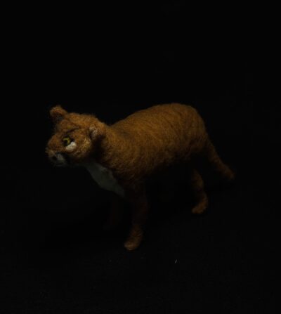 Mountain Lion by Laurie Cameron