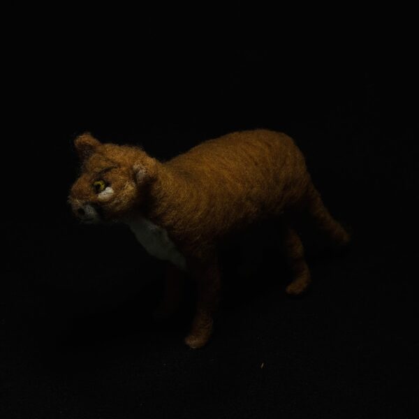 Mountain Lion by Laurie Cameron