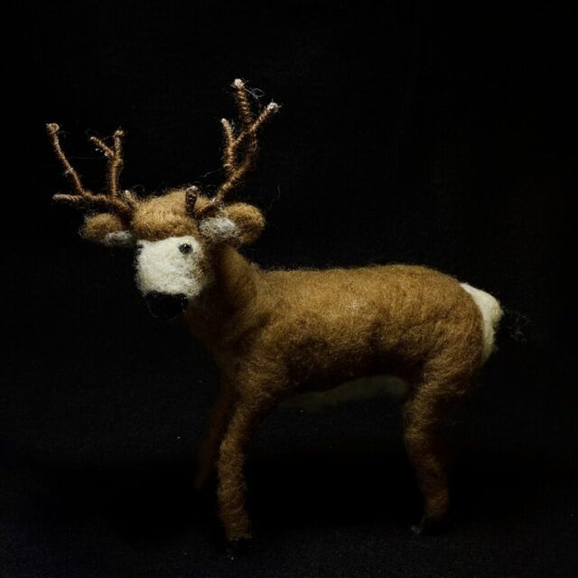 Deer by Laurie Cameron