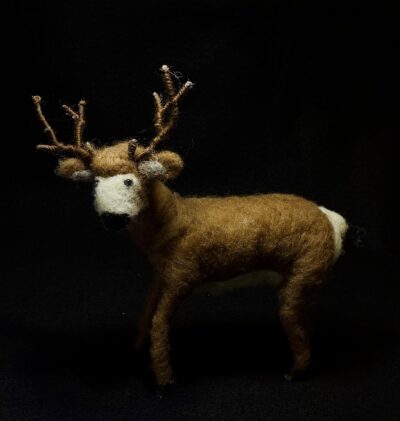 Deer by Laurie Cameron
