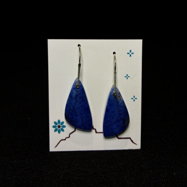 Twilight Dancing Earrings by Nancy Foo