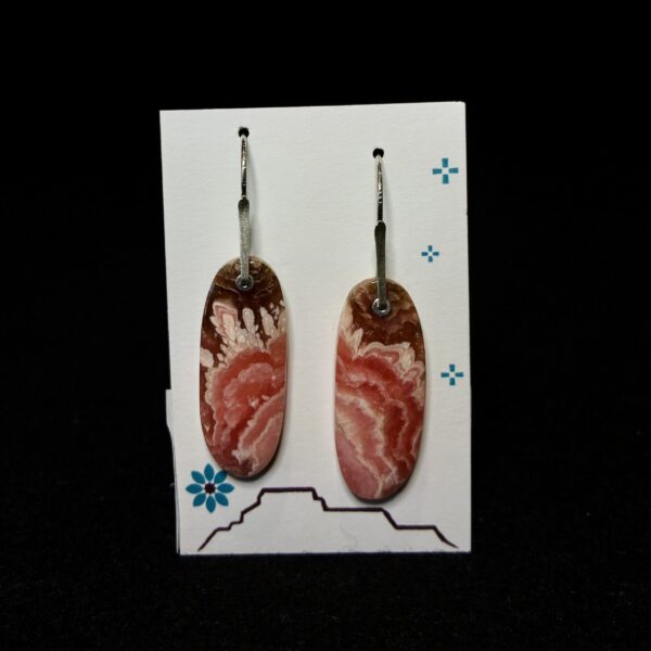 Canyon Sunset Earrings by Nancy Foo