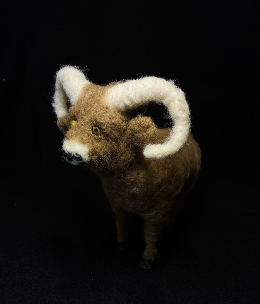 Bighorn Sheep by Laurie Cameron