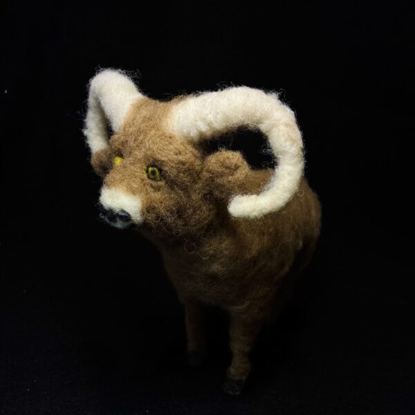 Bighorn Sheep by Laurie Cameron
