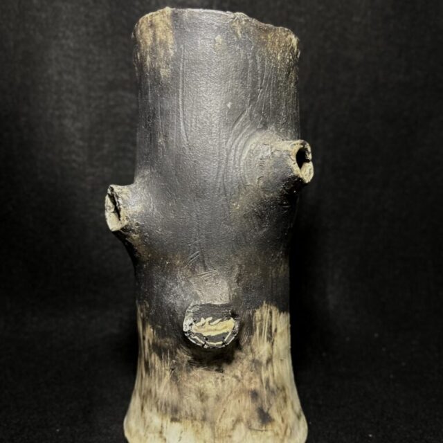 Stump by Chas Frisco