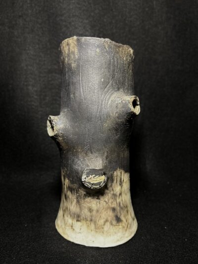 Stump by Chas Frisco