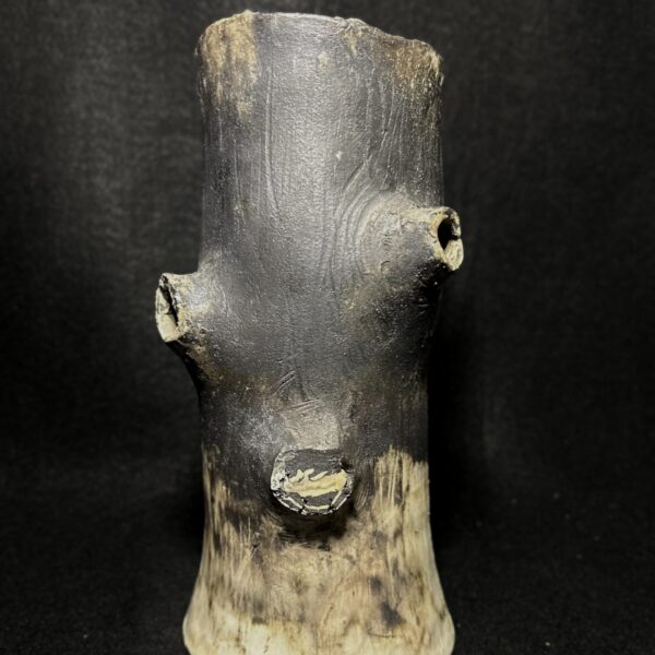 Stump by Chas Frisco
