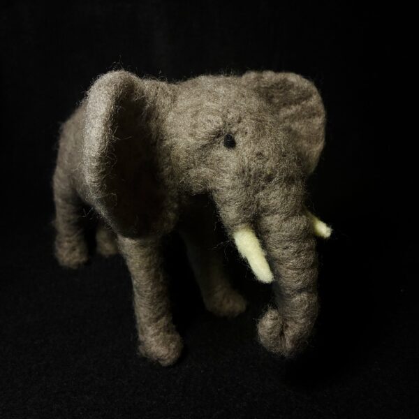 African Elephant by Laurie Cameron