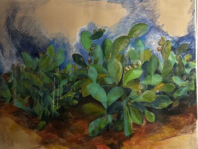 Cactus Farm by Myrna Harrison