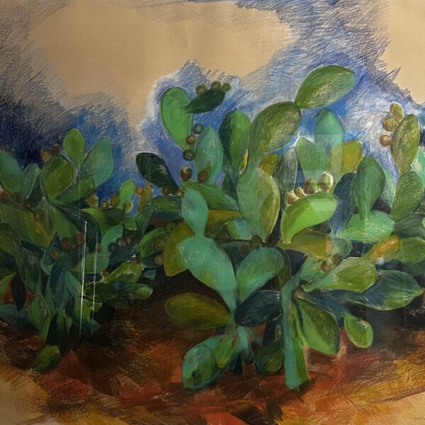 Cactus Farm by Myrna Harrison