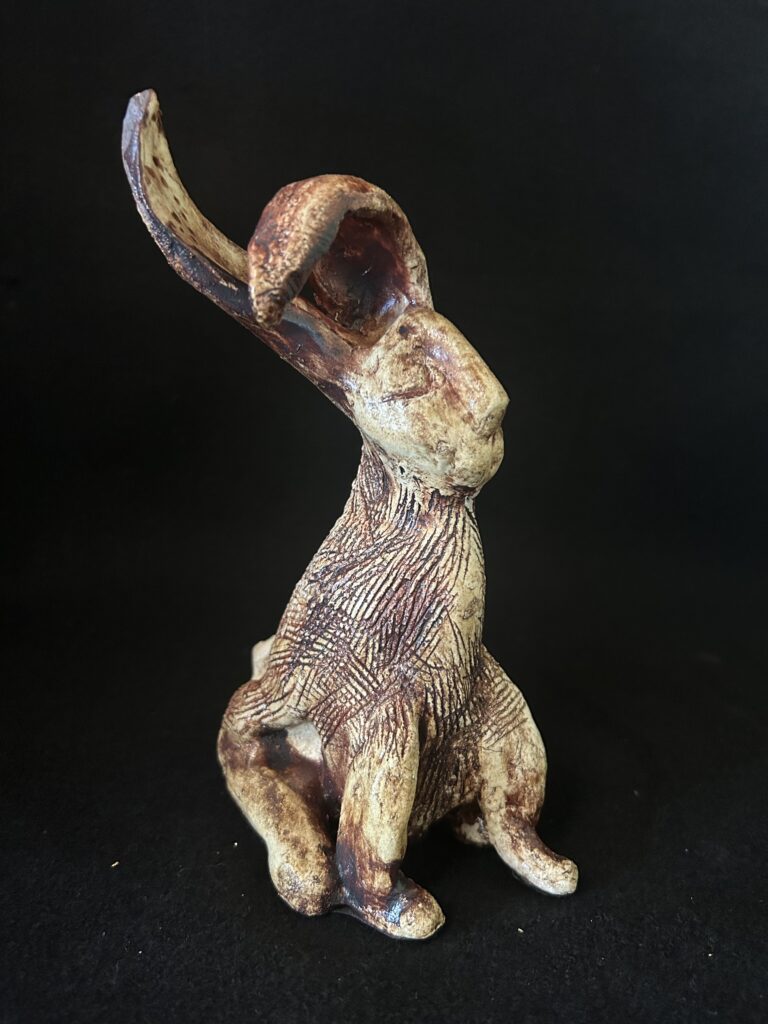 Velveteen Bunny by Amy Light