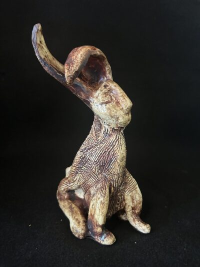 Velveteen Bunny by Amy Light