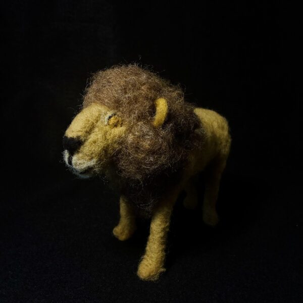 Lion by Laurie Cameron