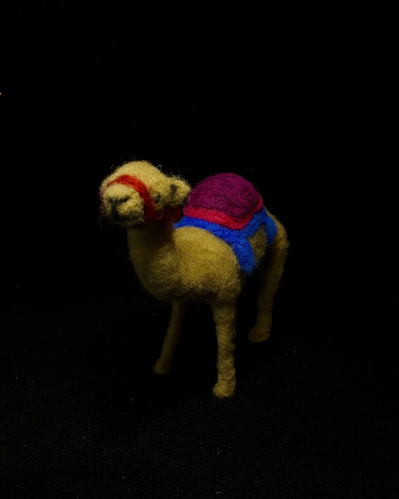 Camel by Laurie Cameron