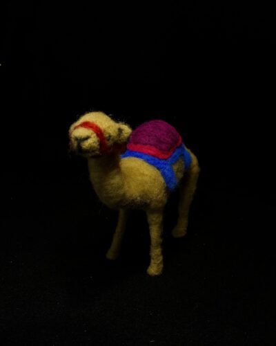 Camel by Laurie Cameron