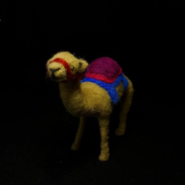 Camel by Laurie Cameron