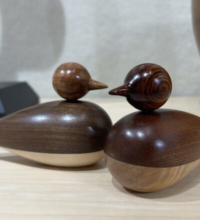 Ducks by Barry Richardson