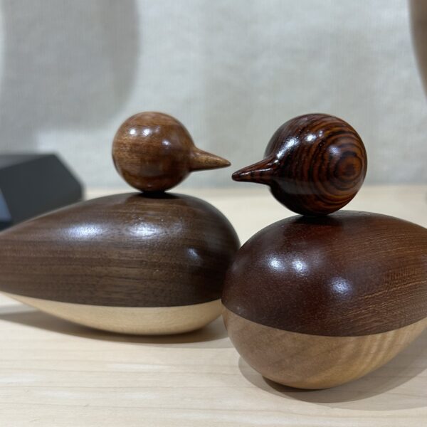 Ducks by Barry Richardson