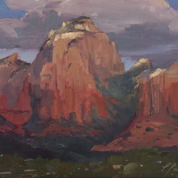 Thunder Mountain by Lili Anne Laurin