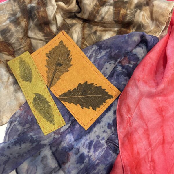 Experimental Fabric Dyeing